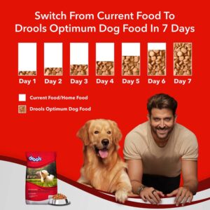 Read more about the article Drools Dog Food: Good For Dogs?