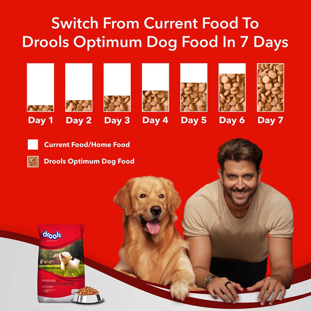 You are currently viewing Drools Dog Food: Good For Dogs?