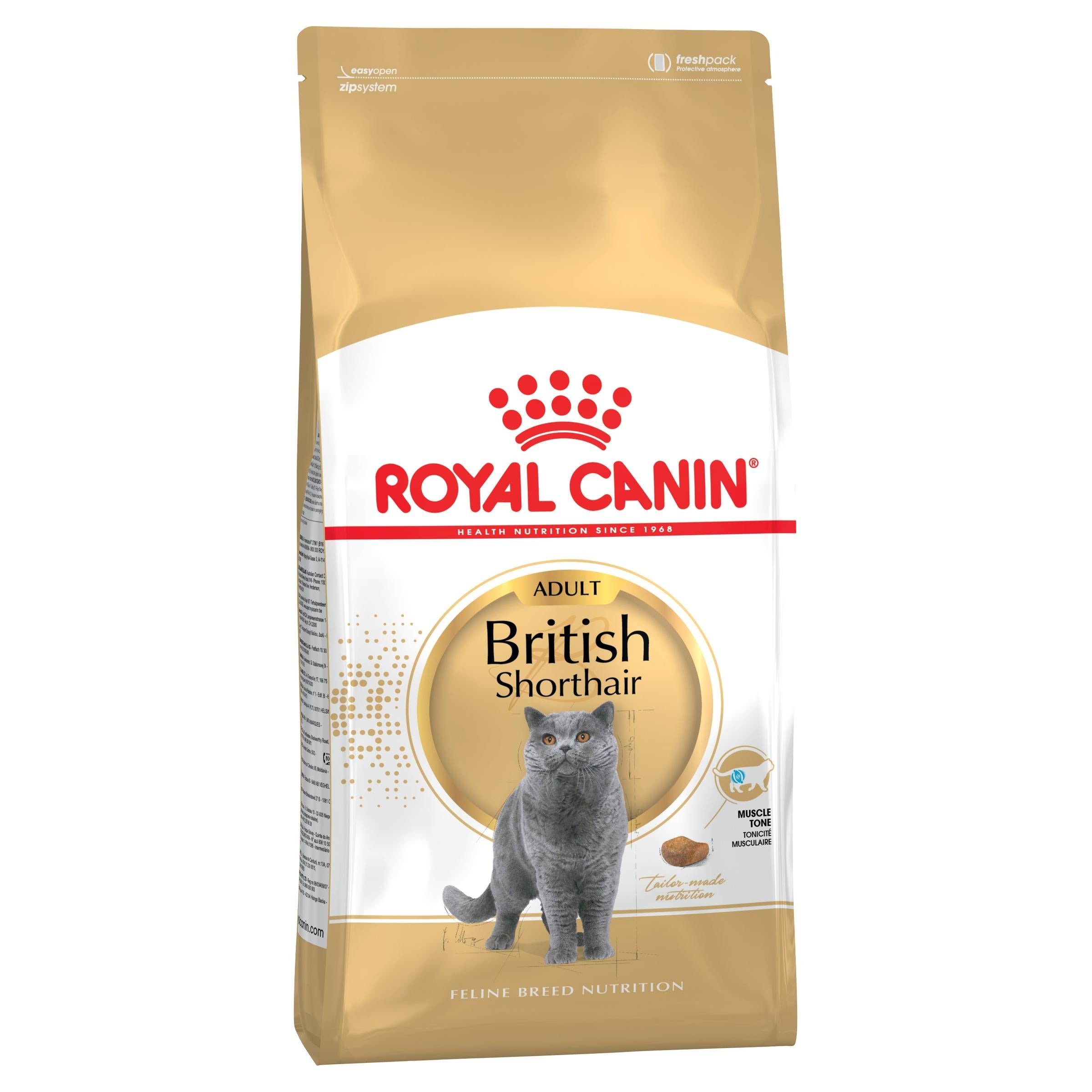 best cat food in india