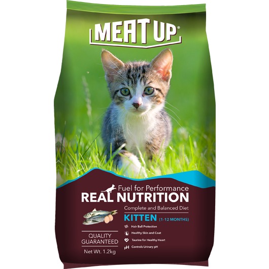 best cat food in india