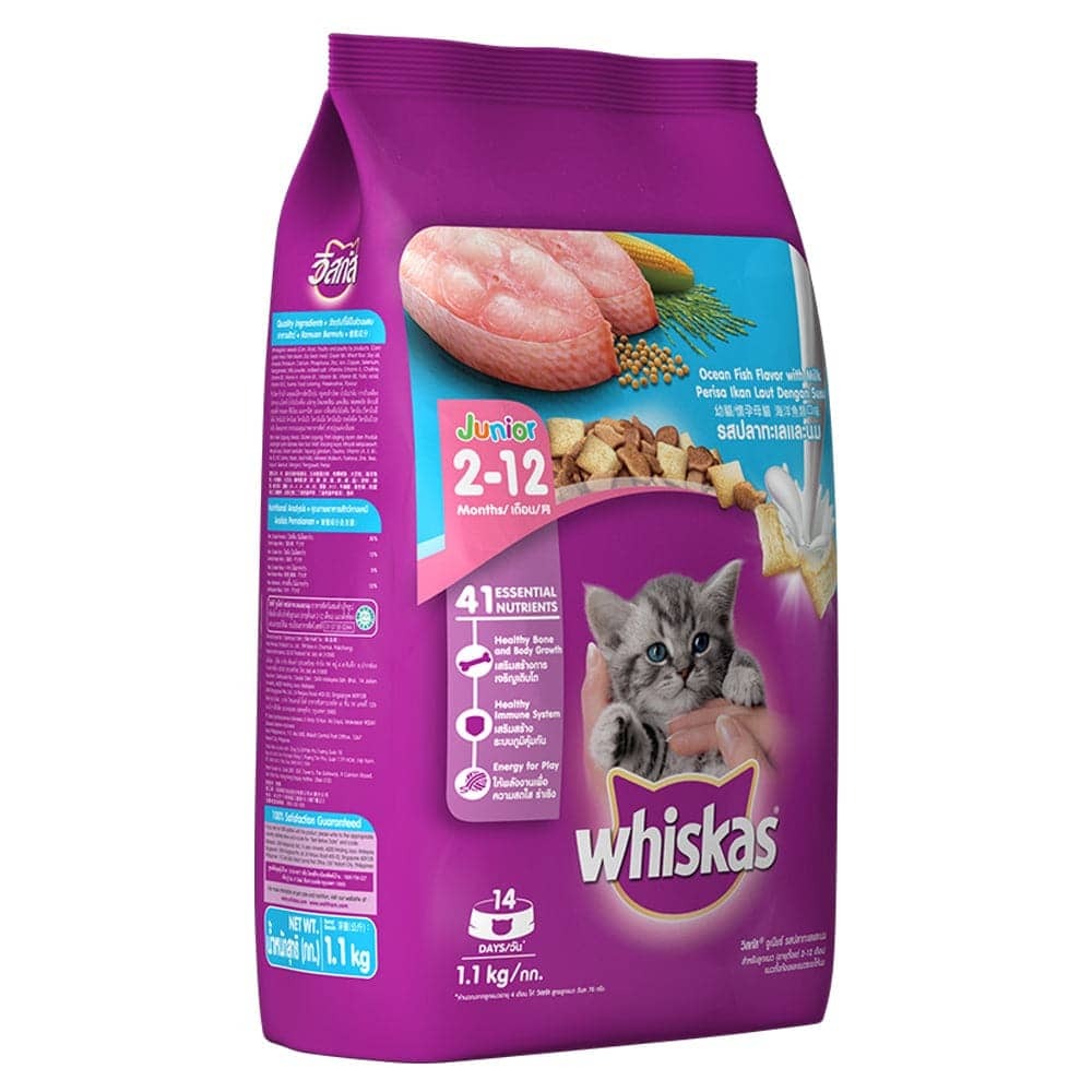 best cat food in 2024