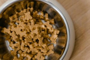 Read more about the article Top 5 Premium Dog Food Brands in 2024